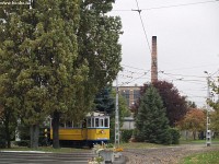 The newly restored historic tramcar 260