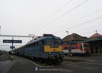 kép