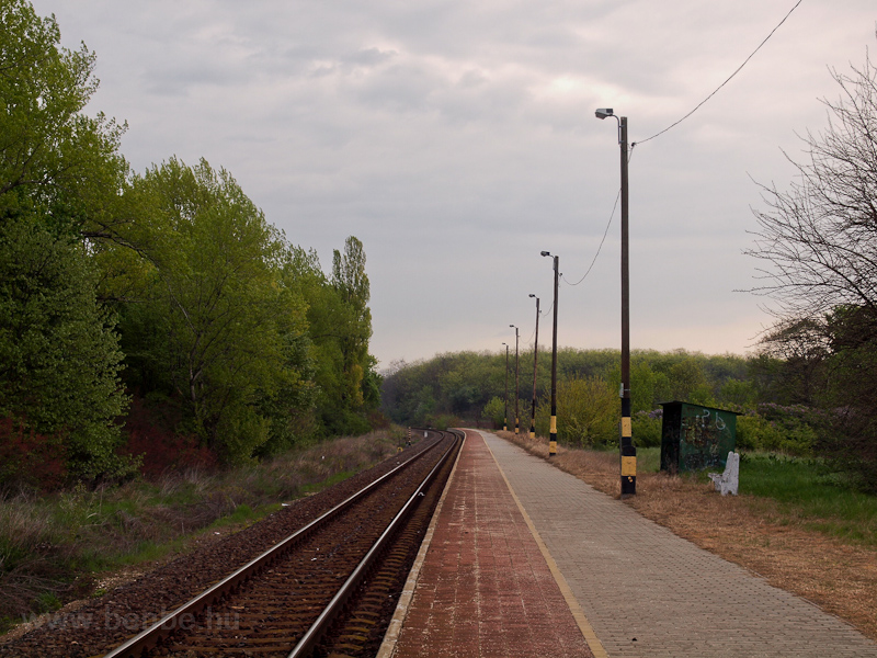 Sereglyes-Szőlőh photo