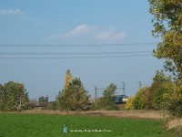 kép