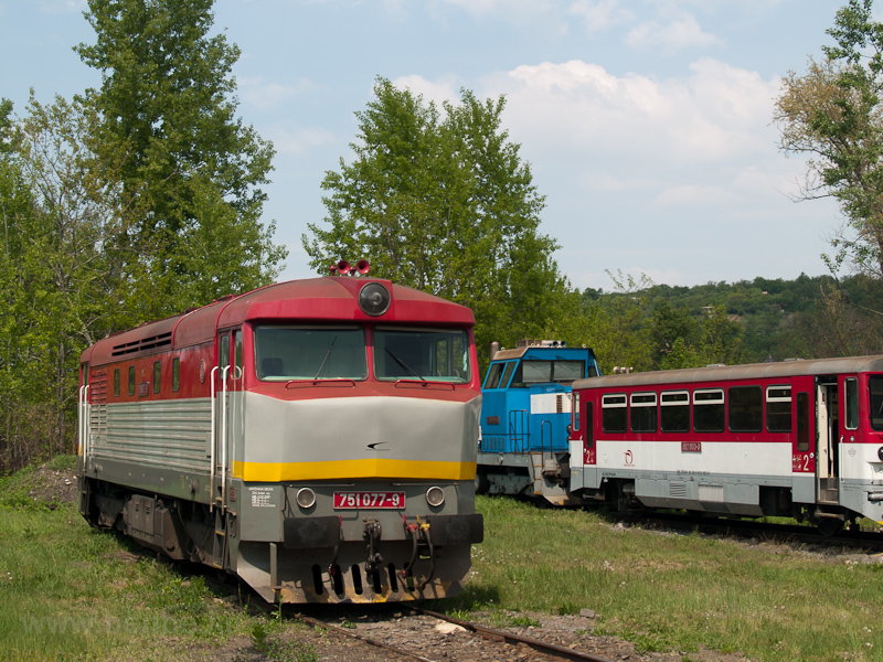 A ŽSSKC 751 077-9 Fleken (Fil'akovo, Slovakia) fot