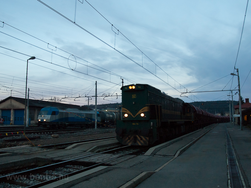 The ŠZ 664-114 is hauling a freight train through Divača from Sežana (Triest) while an Adria Herkules is pulling in another freight from Koper photo