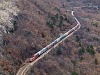 A freight with a a class 541 and a 363 as banker between Hrastovlje and Črnotiče