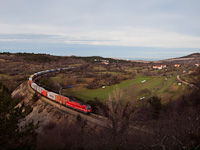 An ŠZ 541 is seen hauling a freight train between Črnotiče and Prešnica