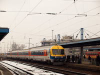 kép