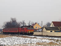 kép