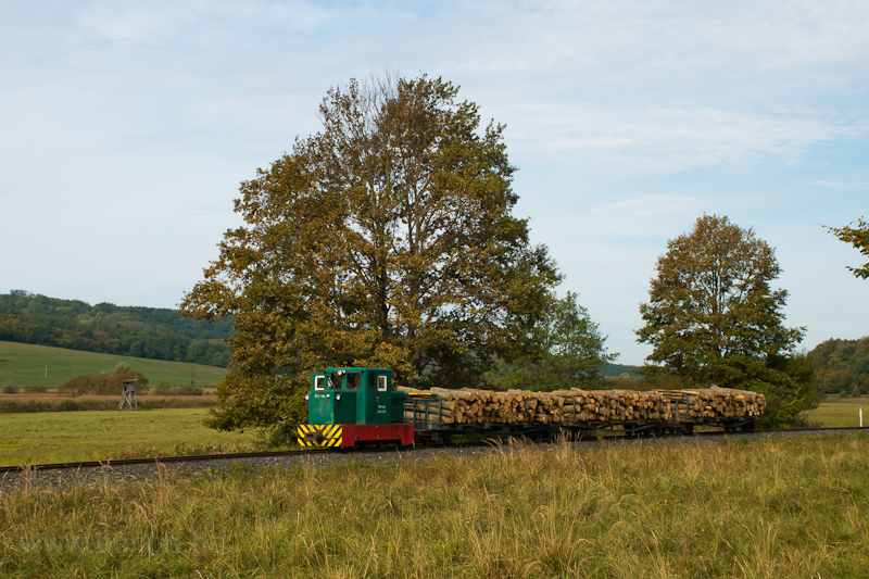 The Csmdri llami Erdei Vast C50 405 seen at Vznyom photo