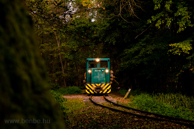 The Csmdri Erdei Vast C50 405 seen at Meretai elgazs photo