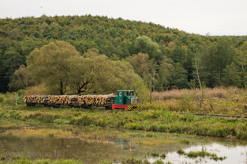 The Csmdri Erdei Vast C50 405 seen hauling a narrow-gauge freight train between Meretai elgazs and Bnokszentgyrgyi elgazs photo