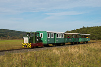 The Csmdri Erdei Vast 8235 409 seen between Nyrlakos and Bnokszentgyrgyi elgazs