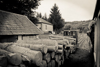 The Csmdri Erdei Vast C50 405 seen hauling a forestry logging freight train at Bnokszentgyrgy