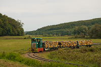 The Csmdri Erdei Vast C50 405 seen hauling a narrow-gauge freight train between Meretai elgazs and Bnokszentgyrgyi elgazs