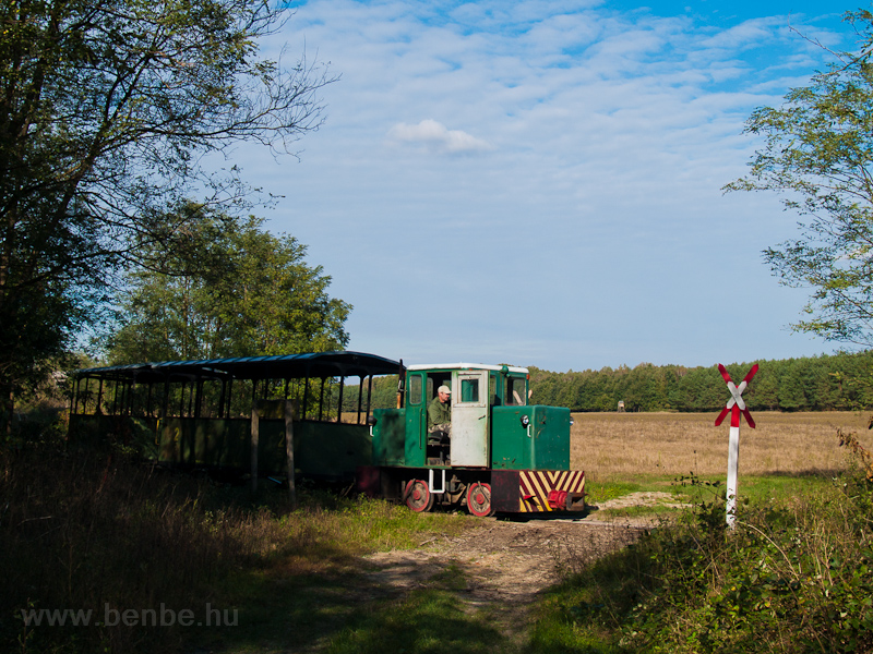 The C50 of the Mesztegnyő Forest Railway somewhere along the line photo