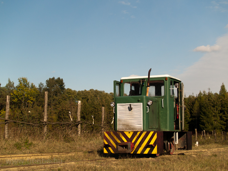 A Mesztegnyői Erdei Vast C50-ese ltal vontatott szerelvny a kisvaston fot