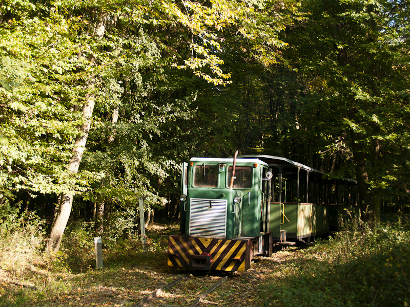 The C50 of the Mesztegnyő Forest Railway somewhere along the line photo