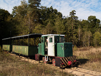 The C50 of the Mesztegnyő Forest Railway somewhere along the line