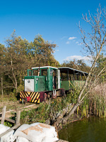 The C50 of the Mesztegnyő Forest Railway somewhere along the line