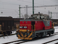 kép