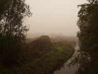 A fast train hauled by a V43 at the foggy Drva river bank