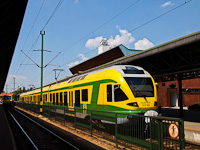 kép
