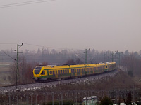 kép