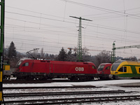 kép