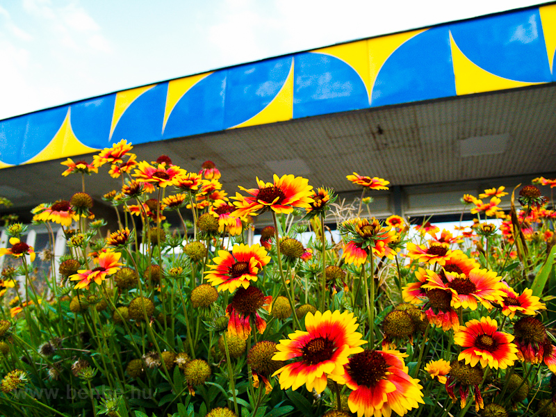 Paks railway station photo