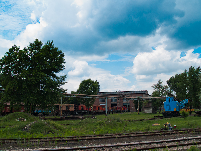 The diesel locomotive works photo