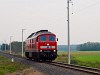 The GYSEV 651 008 seen between Hegyfalu and Psfa