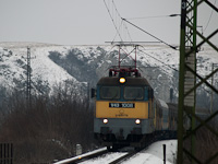 kép
