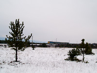 kép