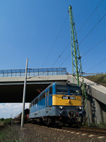 kép