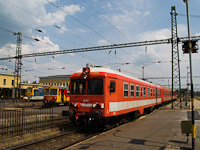 kép
