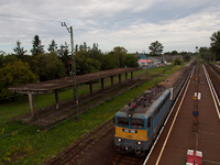 kép