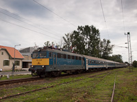 kép
