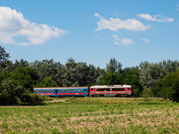 kép