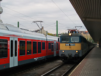 kép