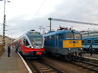 kép