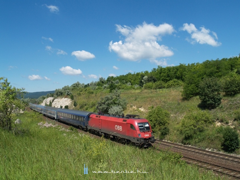 The BB 1116 005-8 is hauling the very delayed EN Wiener Walzer near Szr, Hungary photo