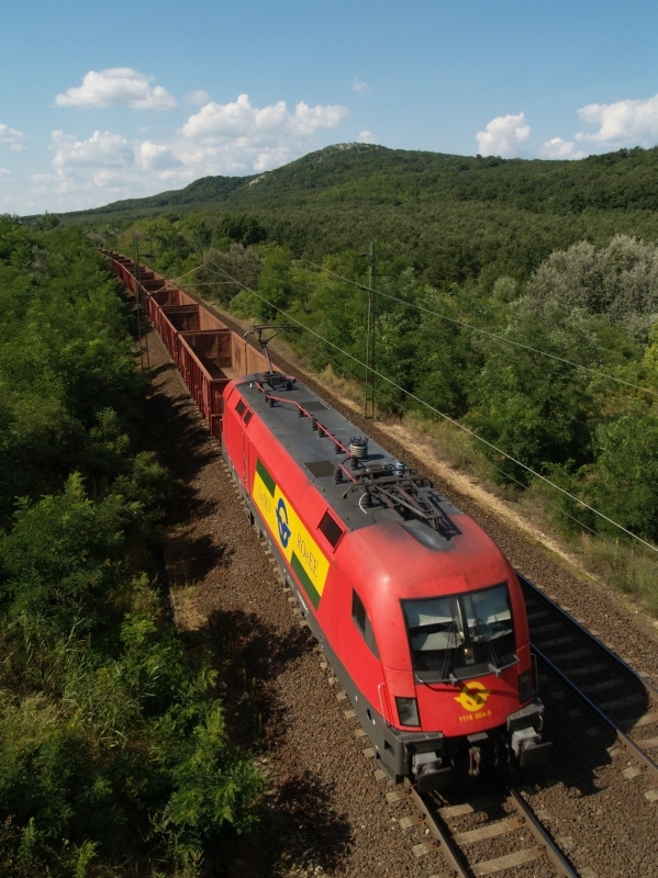 A GYSEV 1116 064-5 Szárliget és Szár között fotó