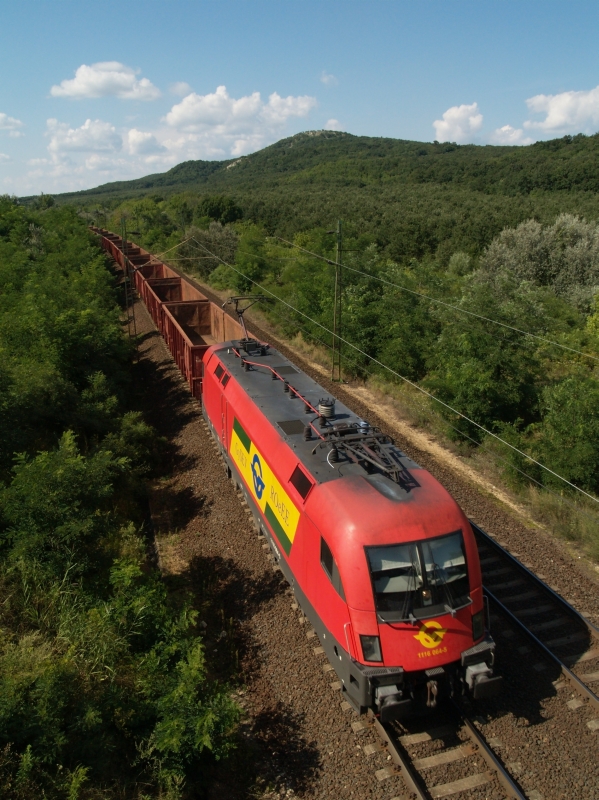 The GYSEV/Raaberbahn 1116 064-5 between Szrliget and Szr photo