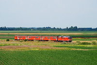 kép