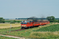 kép