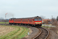 kép