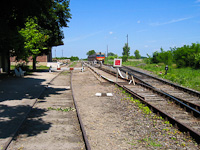 kép