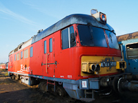 kép