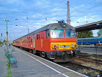 kép