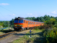kép