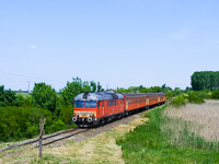 kép