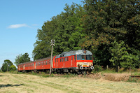 kép